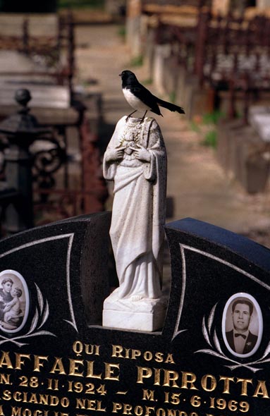 Ansel Adams ansel adams photography quotes. Ansel Adams